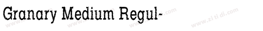 Granary Medium Regul字体转换